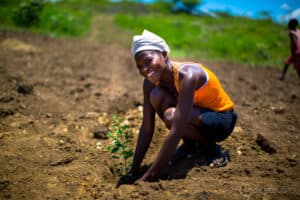 woman planting a tree and smiling